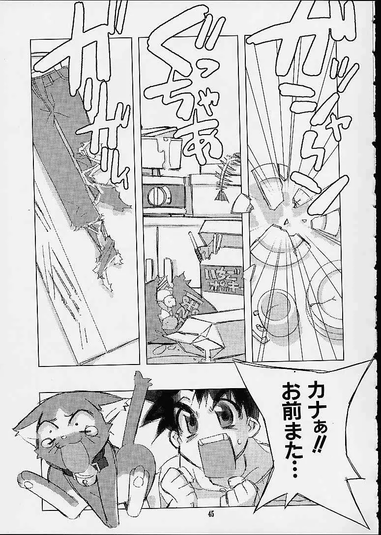 銘菓ひよこサブレ Page.43