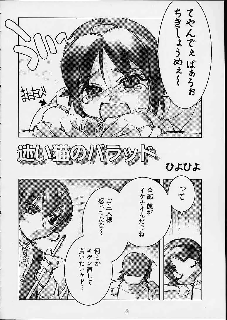 銘菓ひよこサブレ Page.44