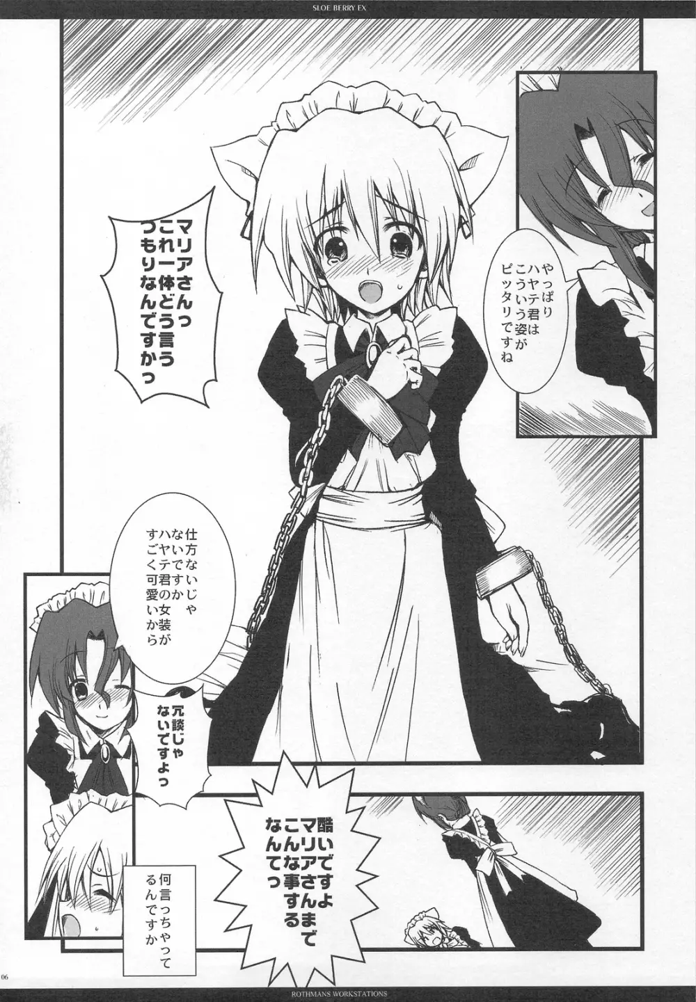 SLOE BERRY EX Page.5