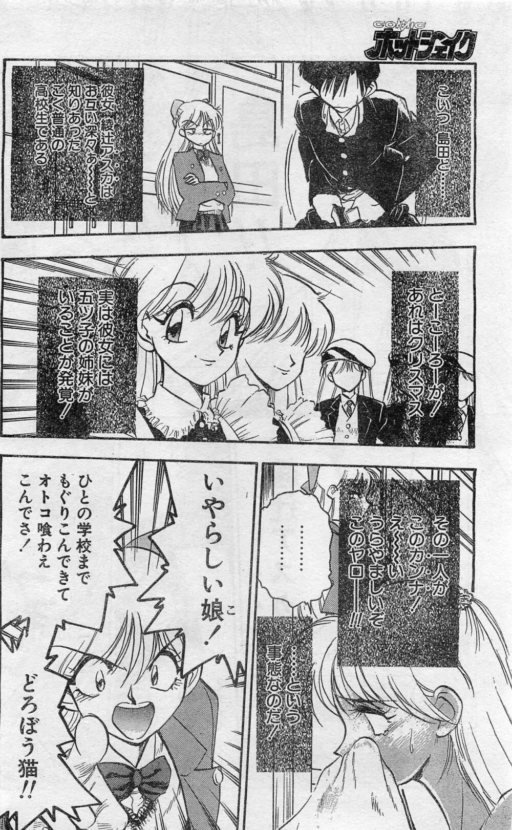 COMIC ホットシェイク キャンディータイム海賊版 1994年2月号増刊 Page.118