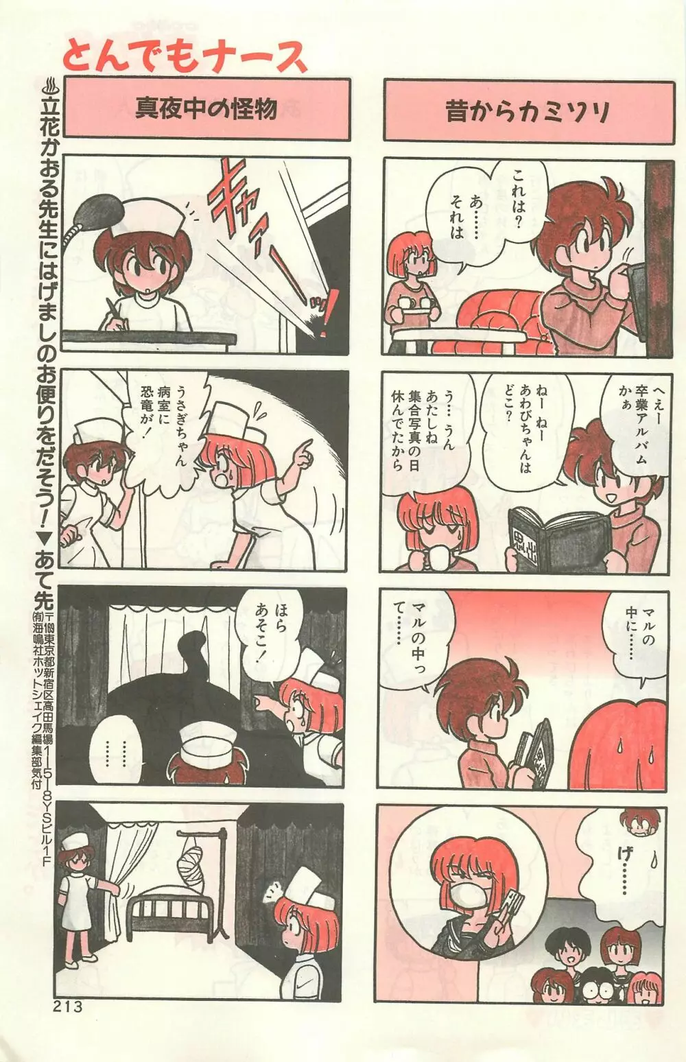 COMIC ホットシェイク キャンディータイム海賊版 1994年2月号増刊 Page.207