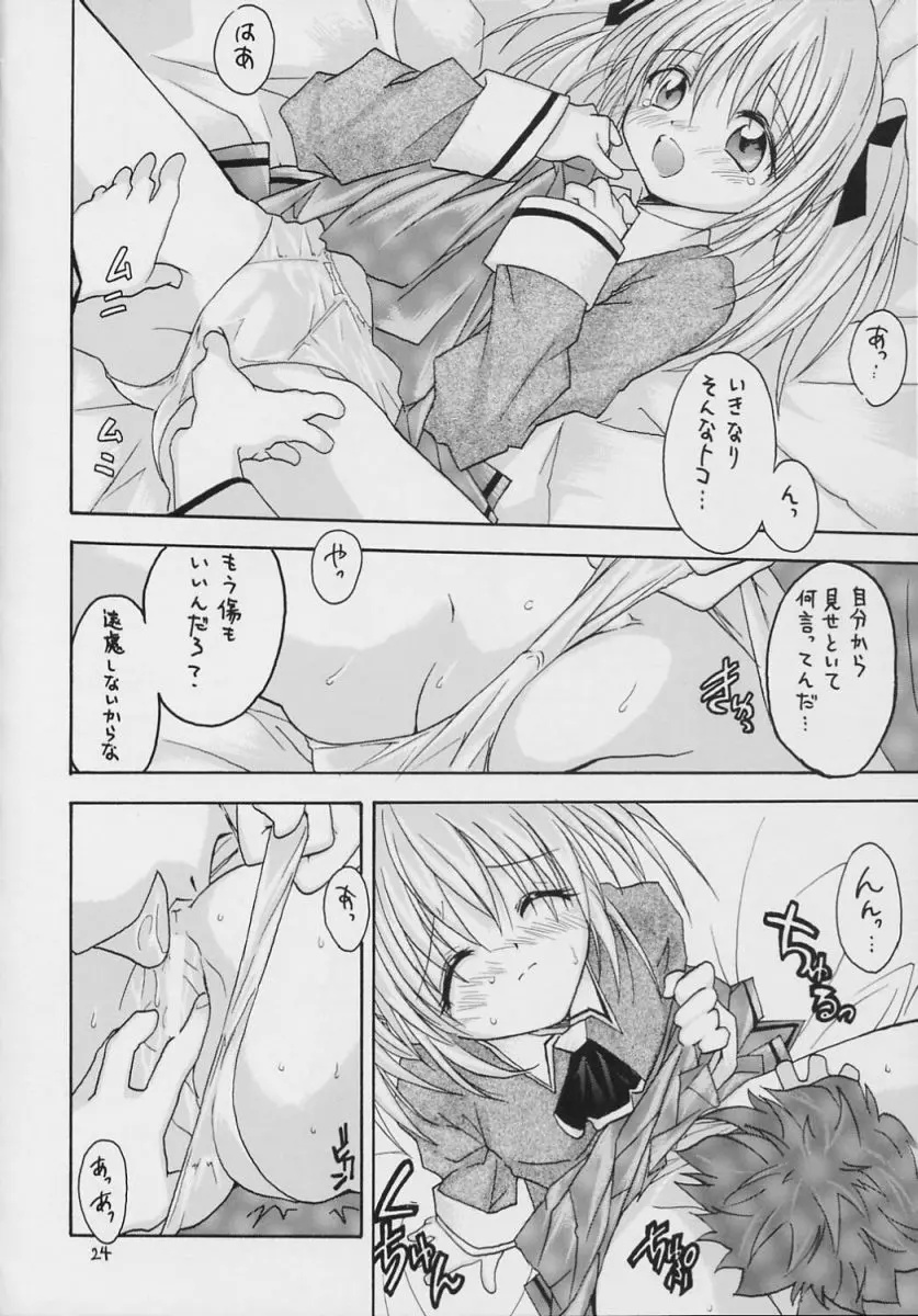 ヴァルハラ～第二章～冬の嵐 Page.23