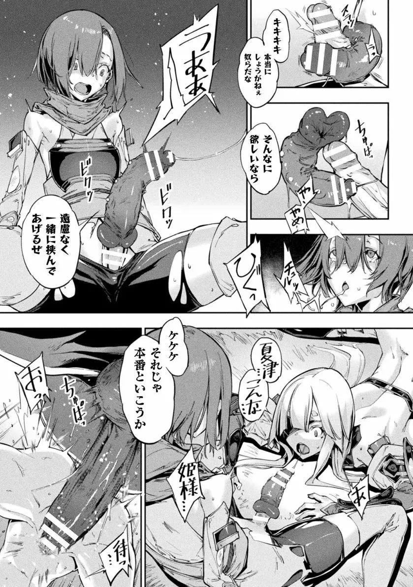 女城主戦姫 Page.15