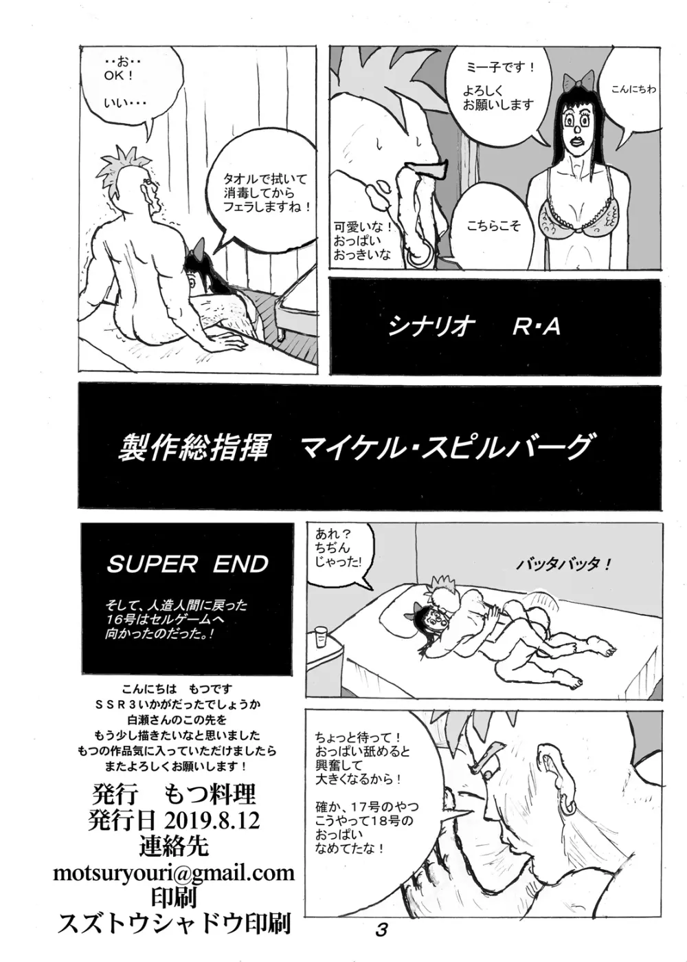 SSR3 Page.21