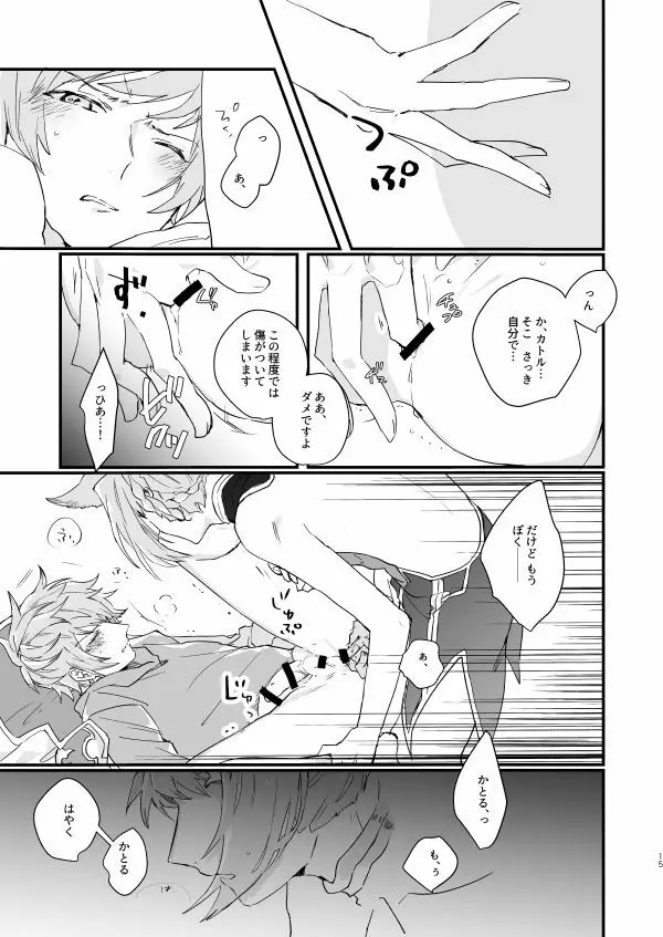 アドアステラ・インサニア Page.13