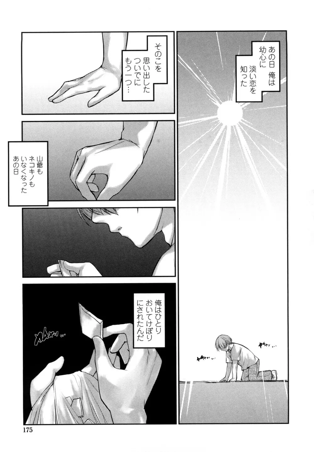 ネコキノと雨の町 Page.175