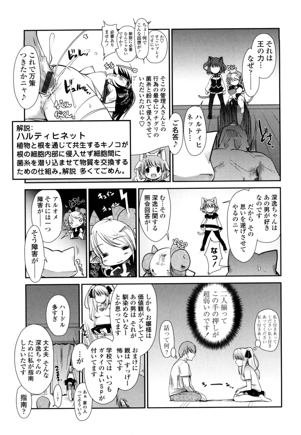 ネコキノと雨の町 Page.99