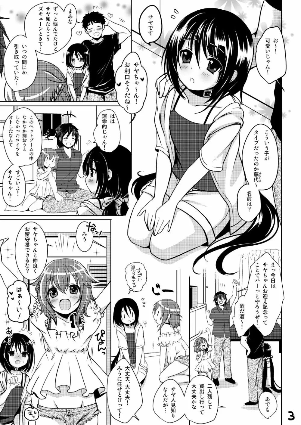 ぺっとらいふ Page.4