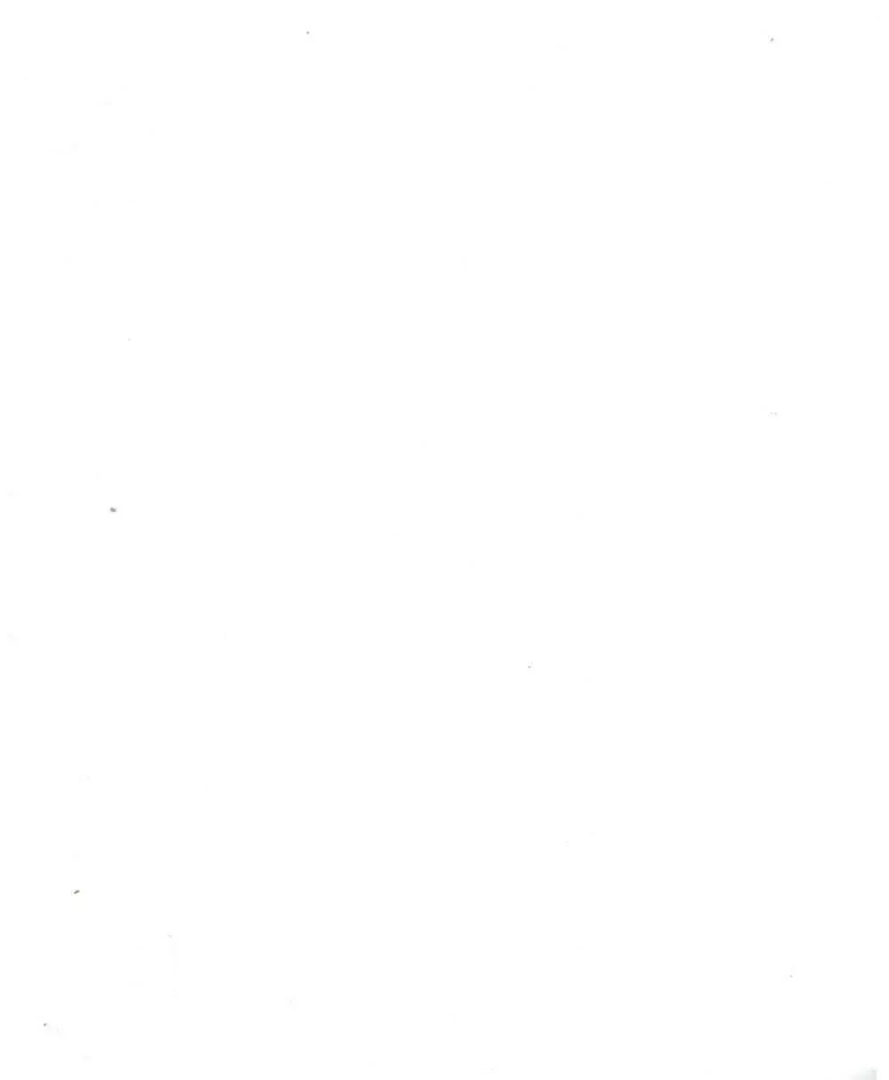 AM:0 Page.3
