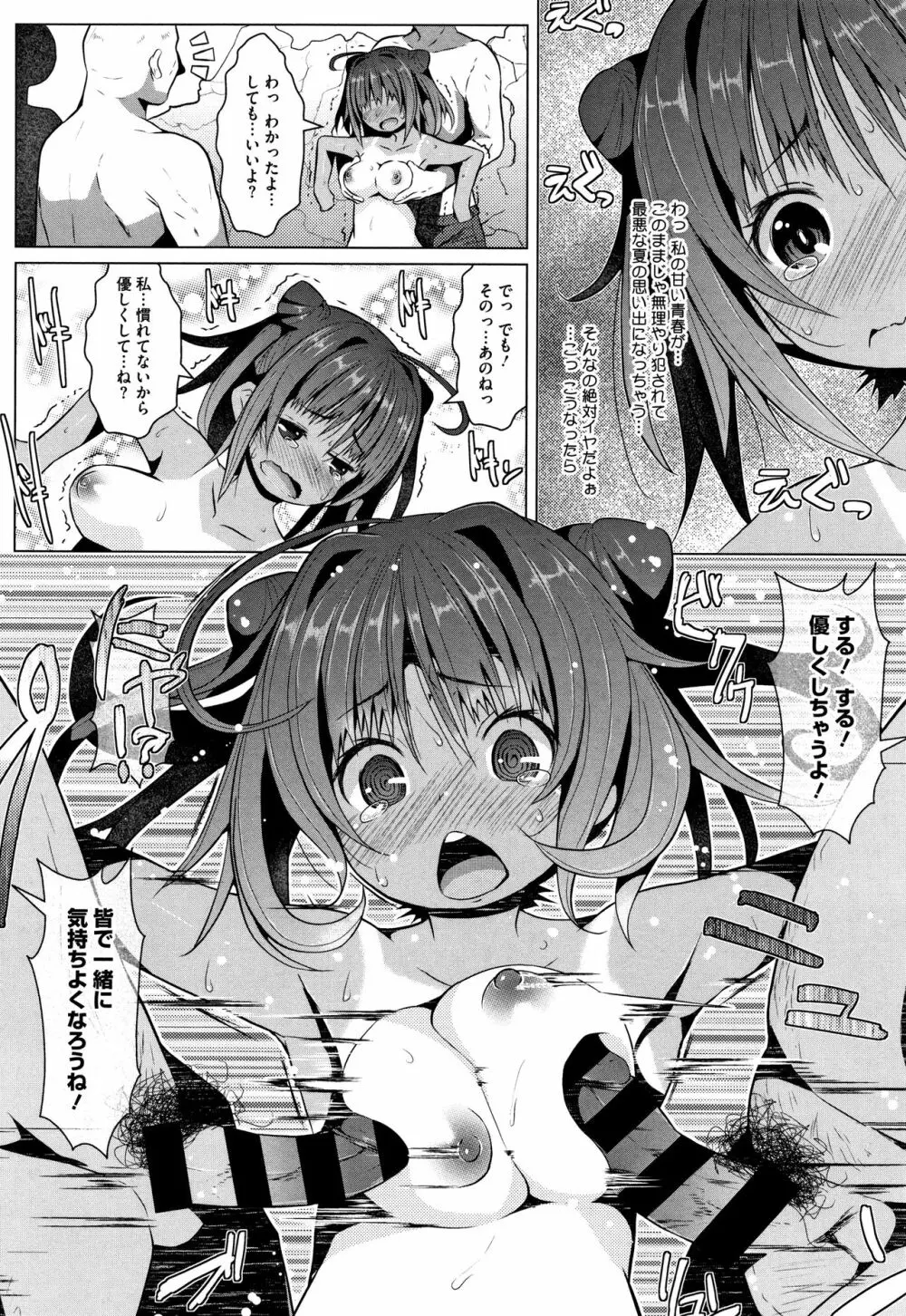 シュクルベリー・トルテ + 4Pリーフレット Page.179