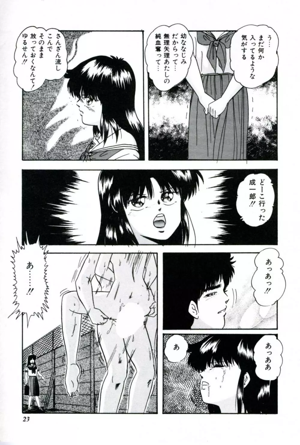 人形たちの白昼夢 Page.25