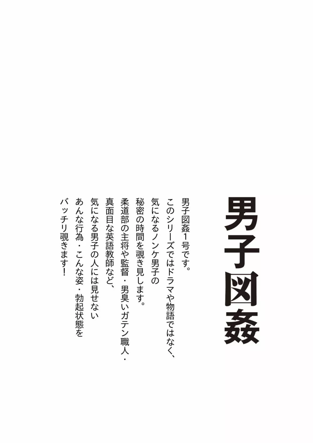男子図姦 vol.1 Page.29