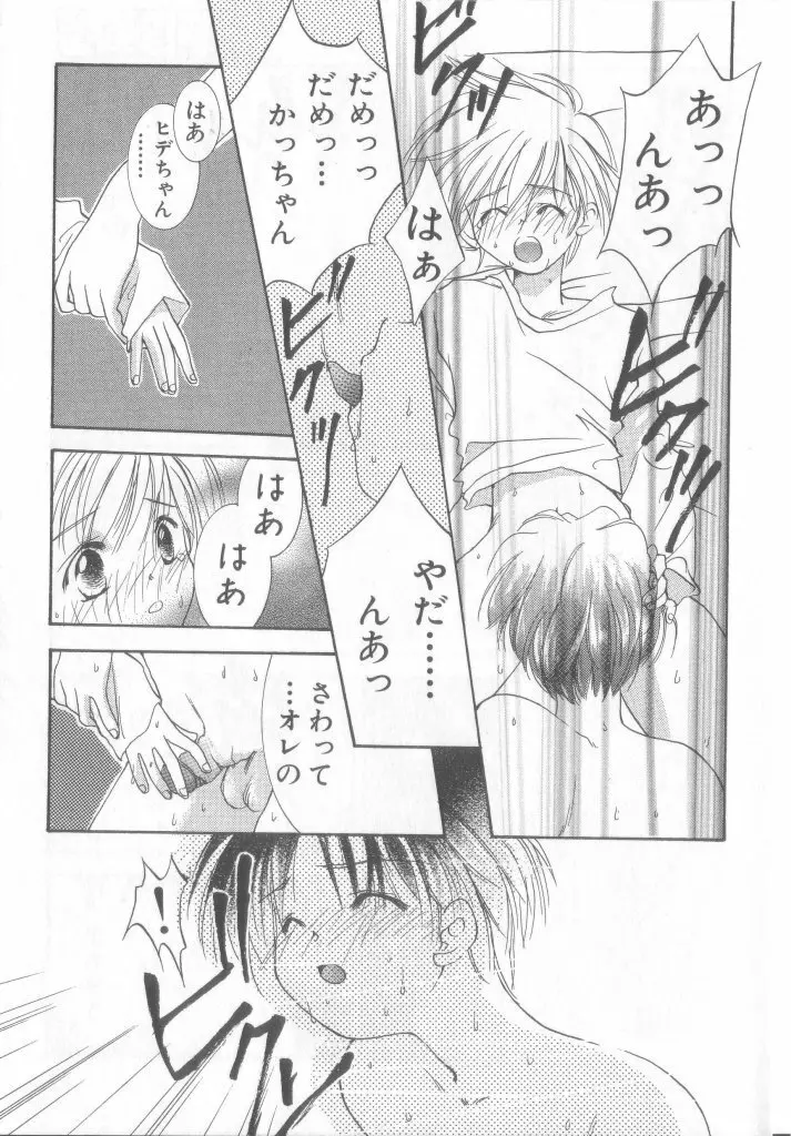 ペット・ボーイズ vol.1 Page.12