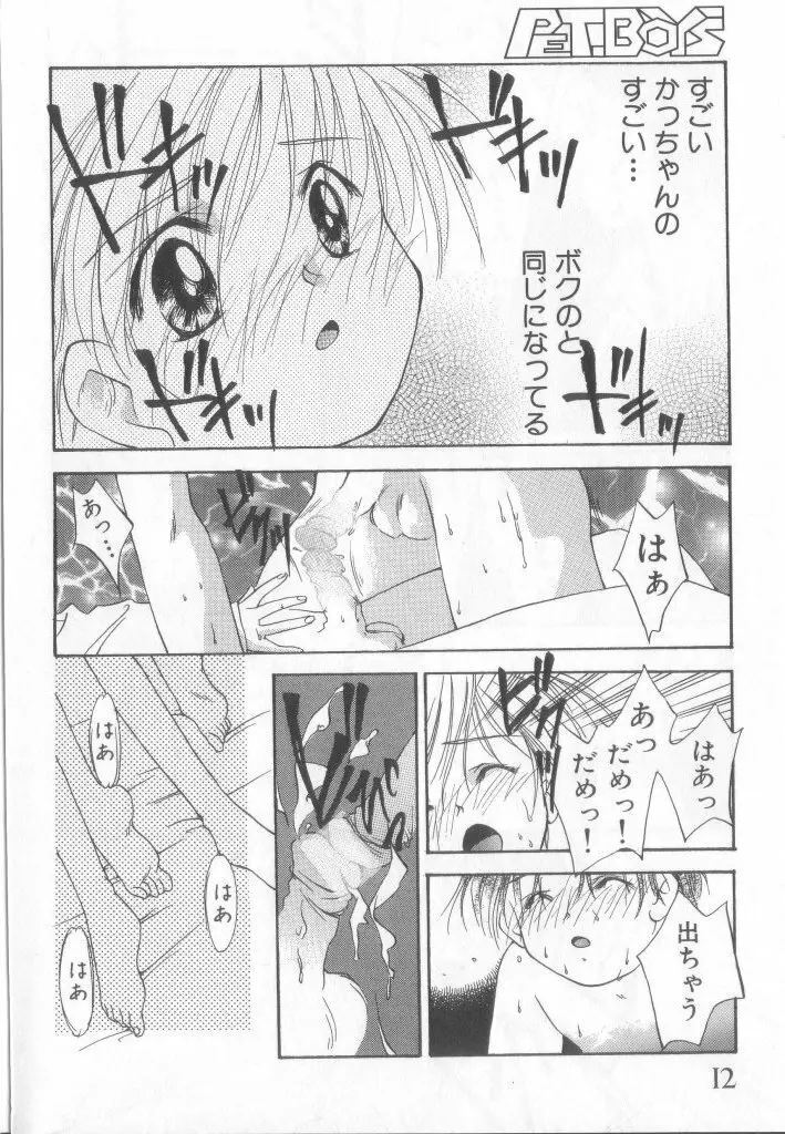 ペット・ボーイズ vol.1 Page.13