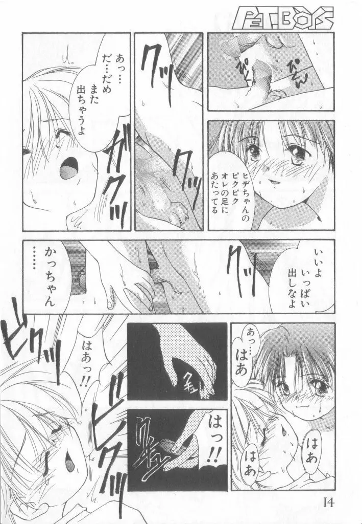 ペット・ボーイズ vol.1 Page.15