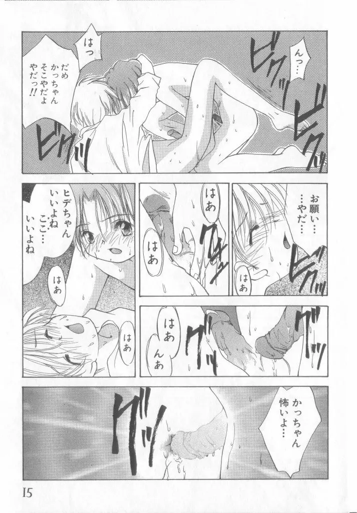 ペット・ボーイズ vol.1 Page.16