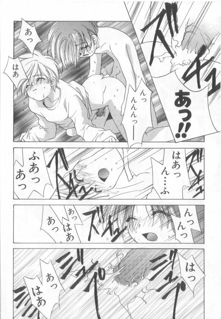 ペット・ボーイズ vol.1 Page.17