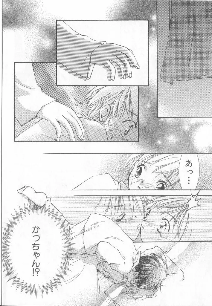 ペット・ボーイズ vol.1 Page.9