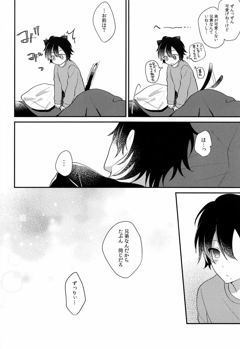 ぼくの愚兄を紹介します Page.27