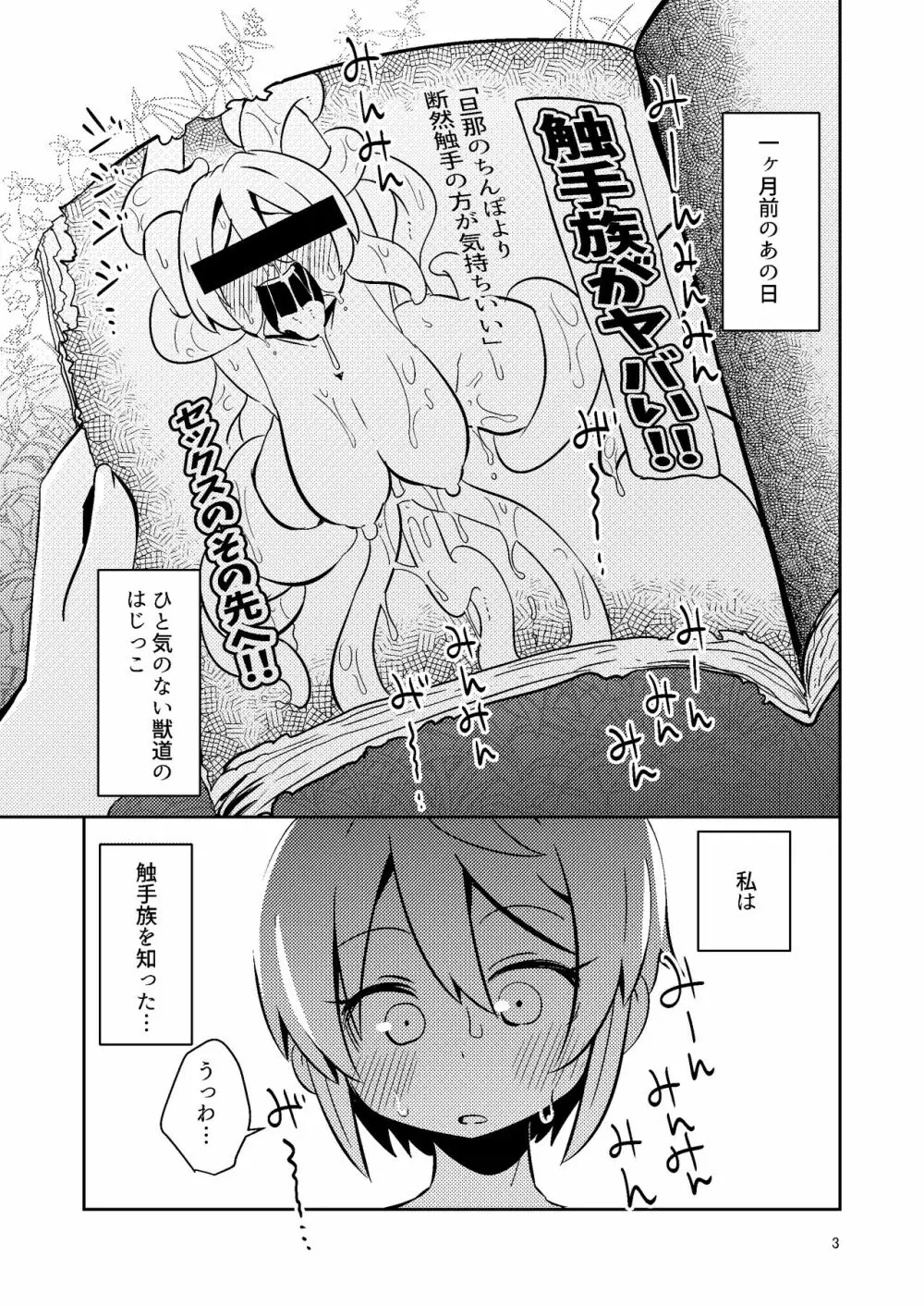 触手売りのフィエラ Page.3