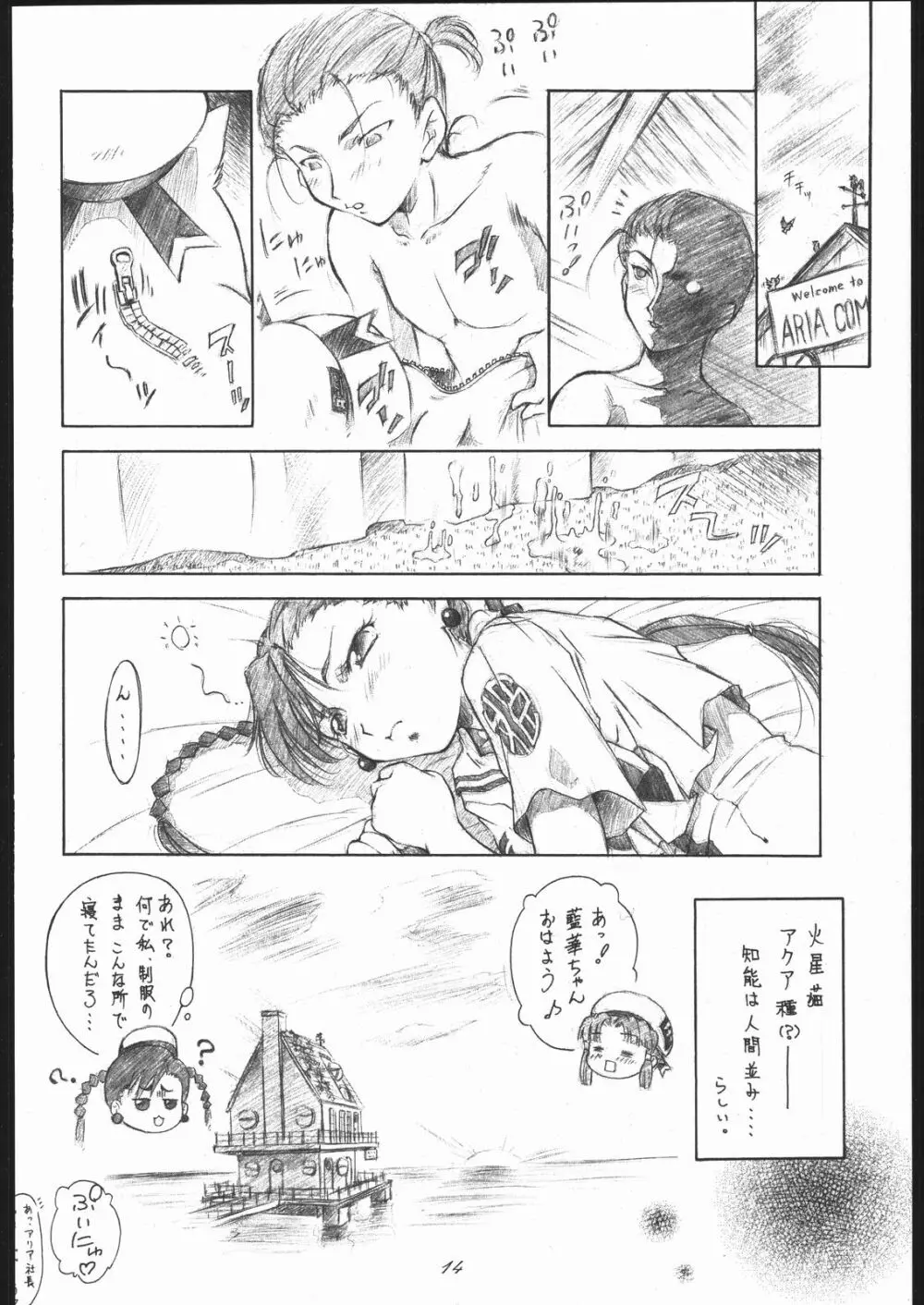 ヴァージンの花園へようこそ Page.13