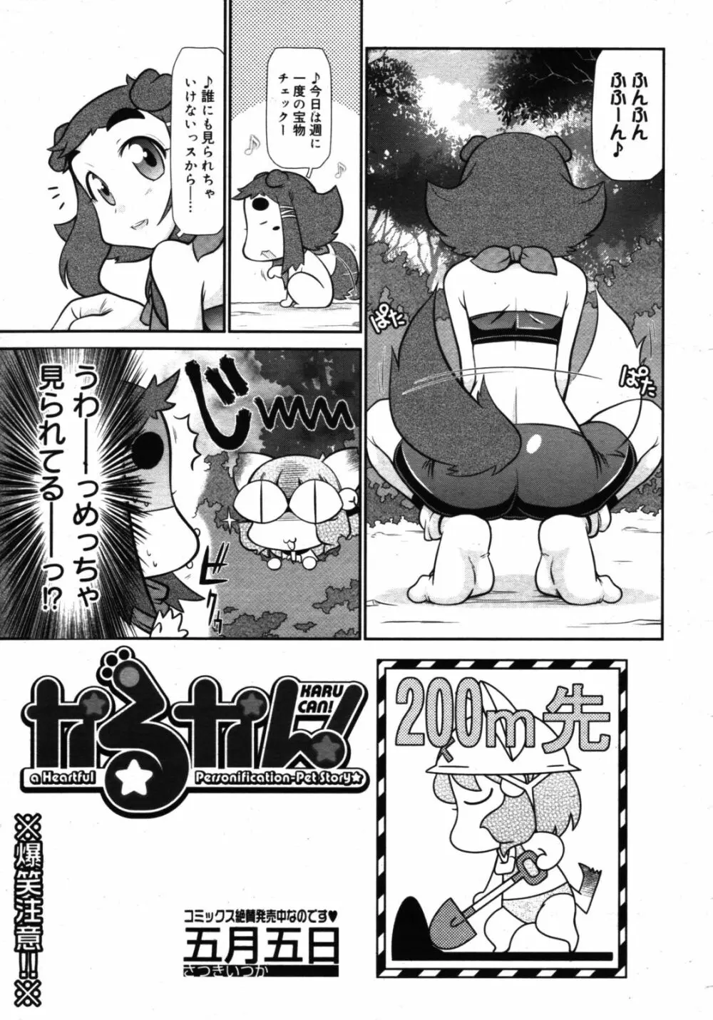 コミックゼロエクス Vol.16 2009年4月号 Page.375