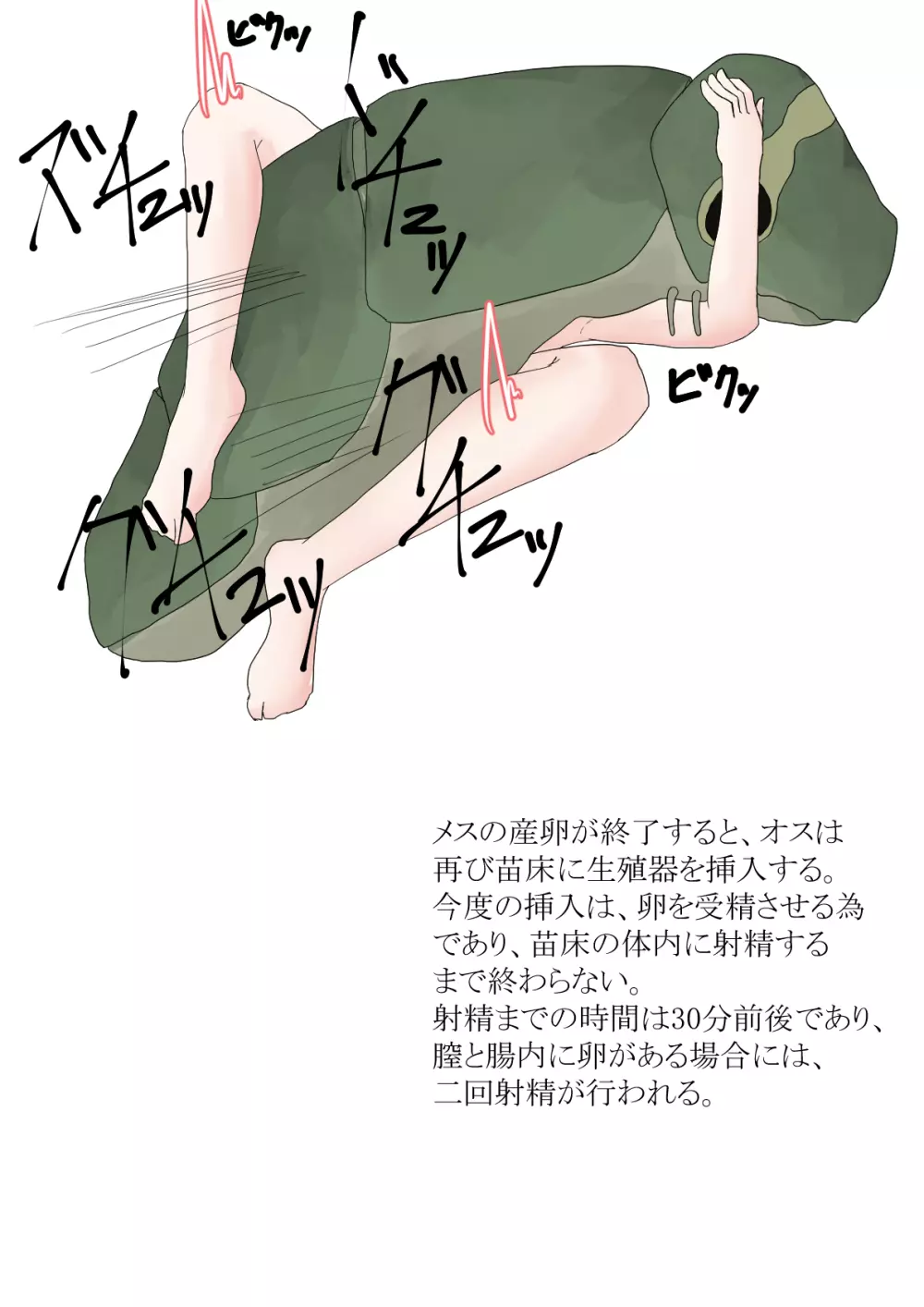 オオムシ解説図鑑 Page.12