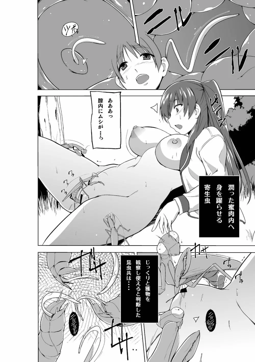 環の虫遊び Page.18