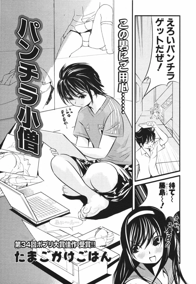 COMIC ポプリクラブ 2006年03月号 Page.241