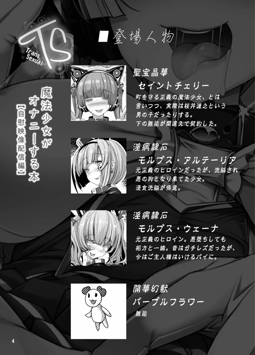 TS魔法少女がオナニーする本~自慰映像配信編~ Page.4