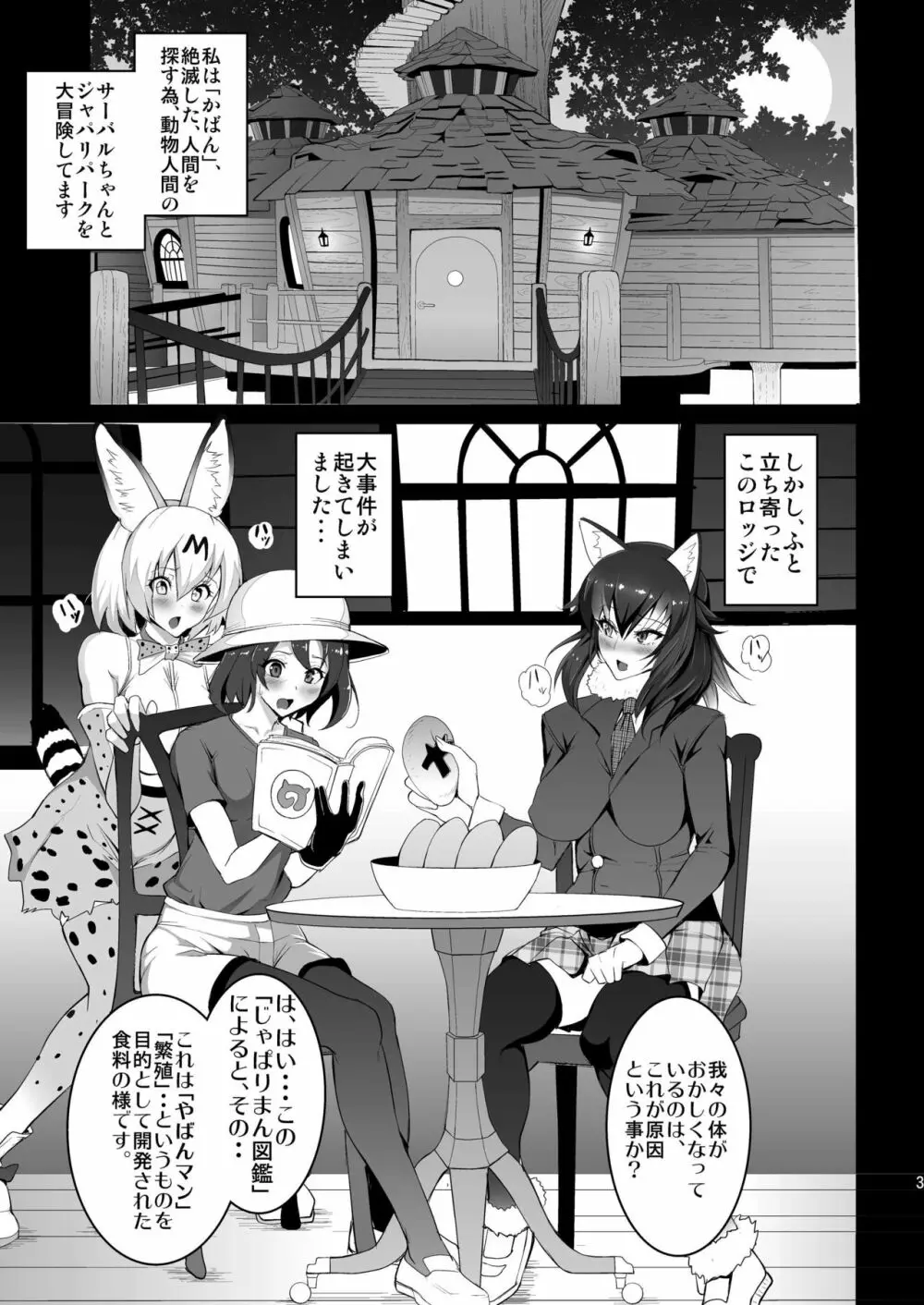 やばんなフレンズ Page.3