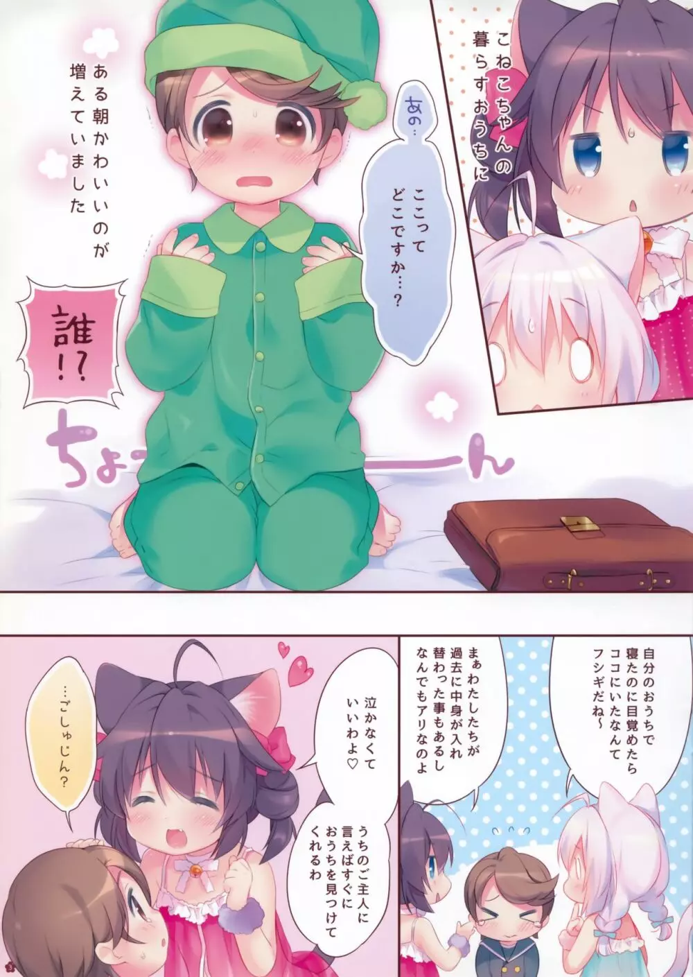 やさしくしてね、こねこちゃん! Page.3