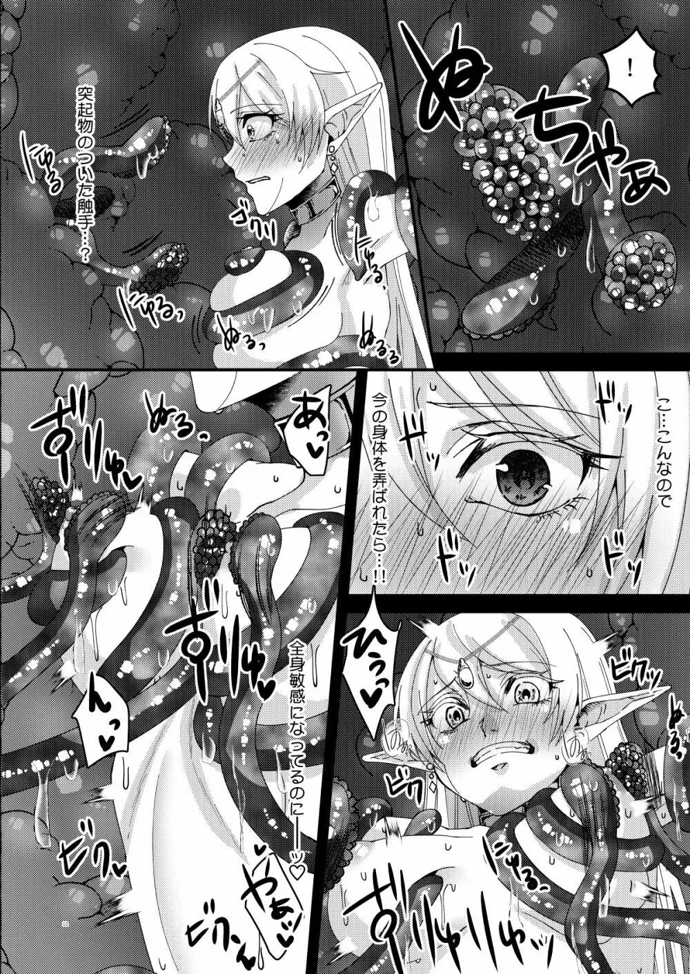 女帝エルフセレーナ～エチコロンカ帝国の没落～ Page.11