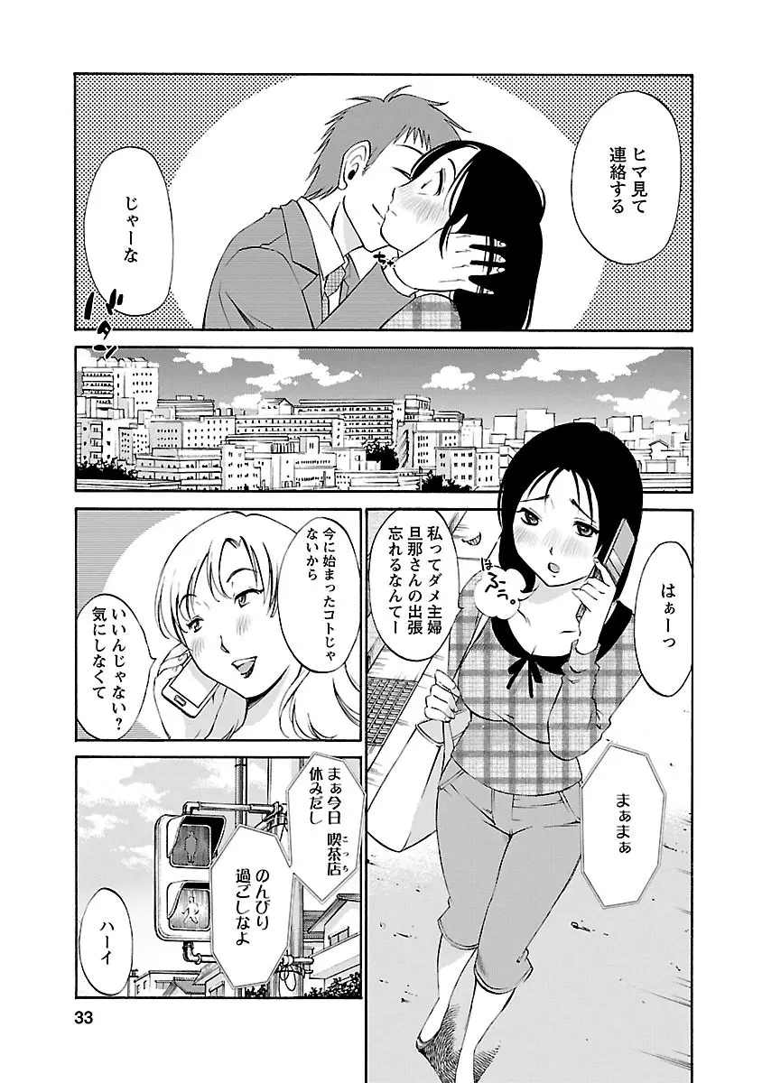 のぞみのまんま Page.33