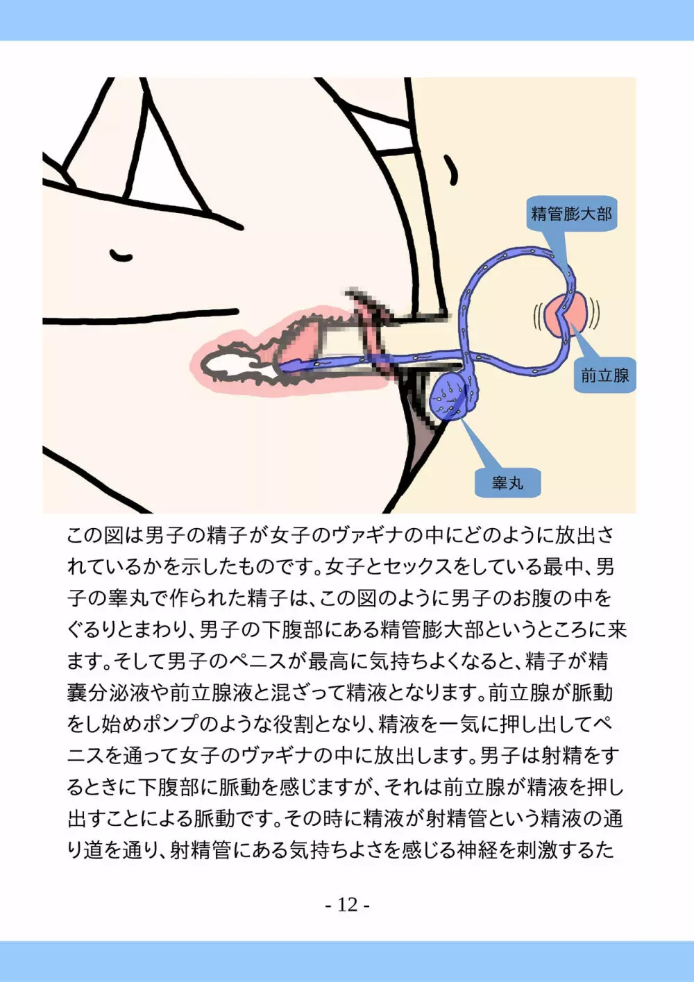 思春期のためのとっても気持ちいいセックスのおはなし Page.12