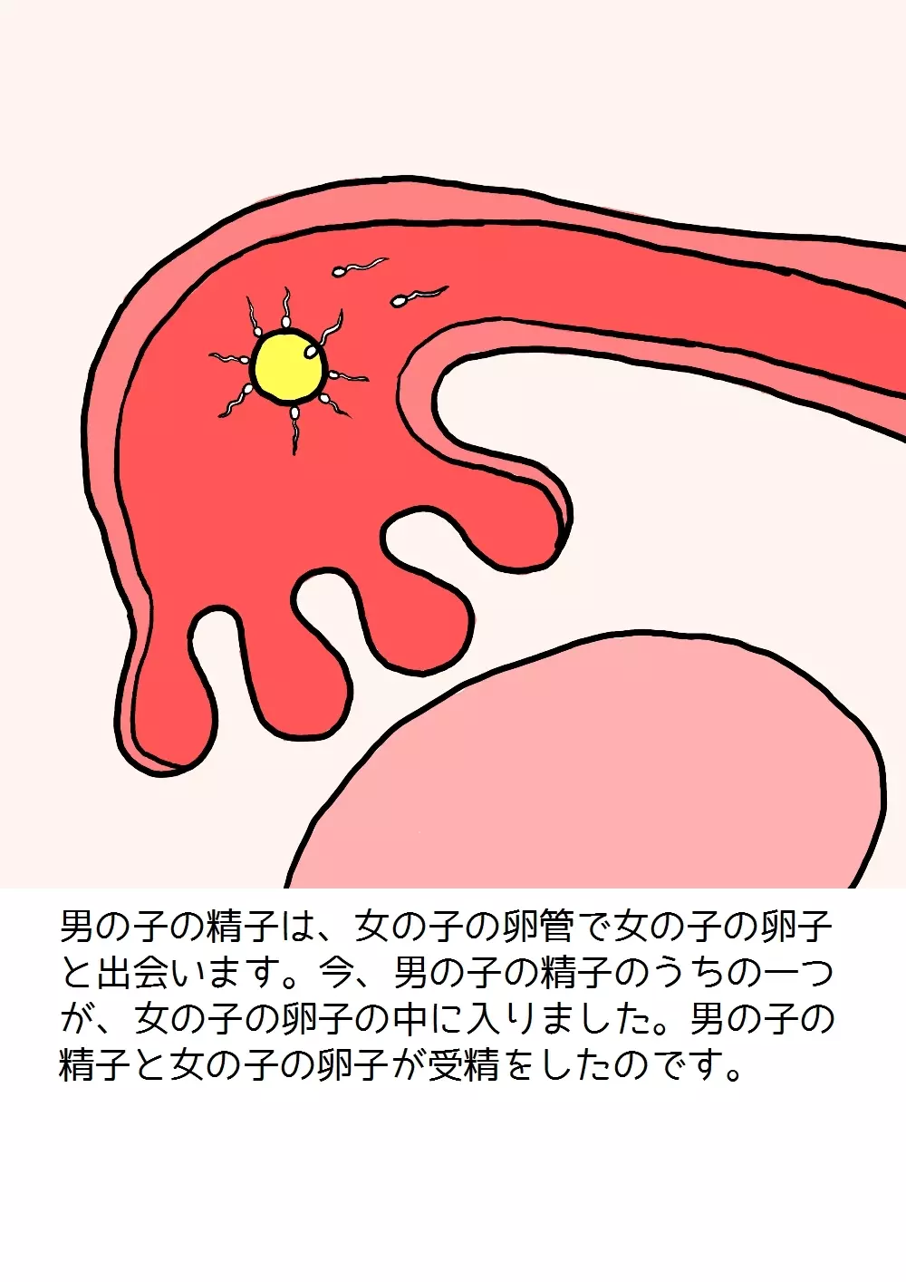 思春期の男の子のための性教育・女の子を妊娠させるための中出しセックス入門 Page.60