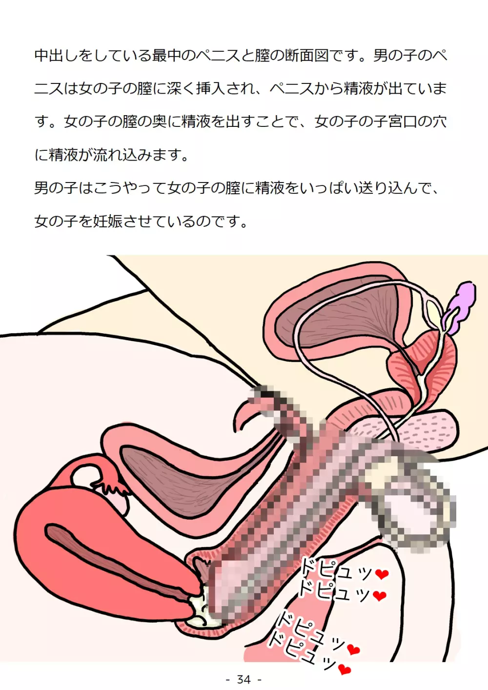 思春期の男の子のための性教育・同級生の女の子とセックスをして赤ちゃんを作るおはなし Page.34