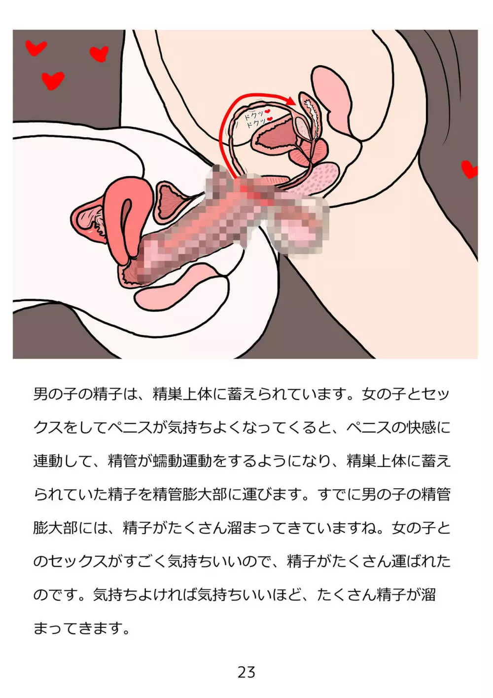 思春期のための性教育・とってもエッチで気持ちいい新しい生命を作る中出しセックス Page.23