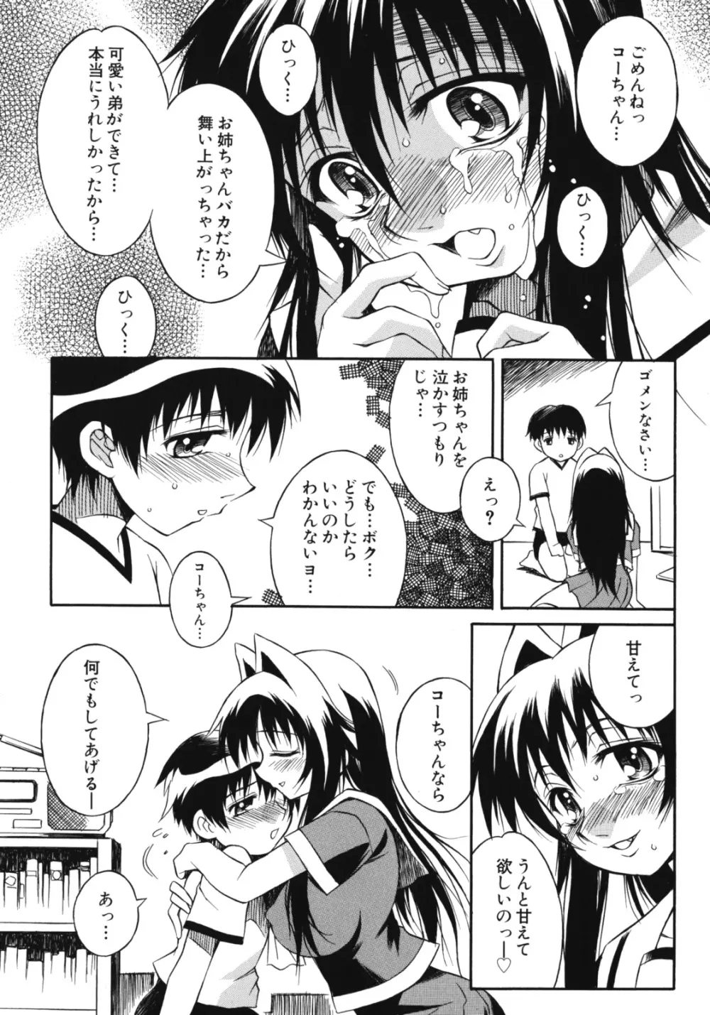 姉肉淫夢 Page.27