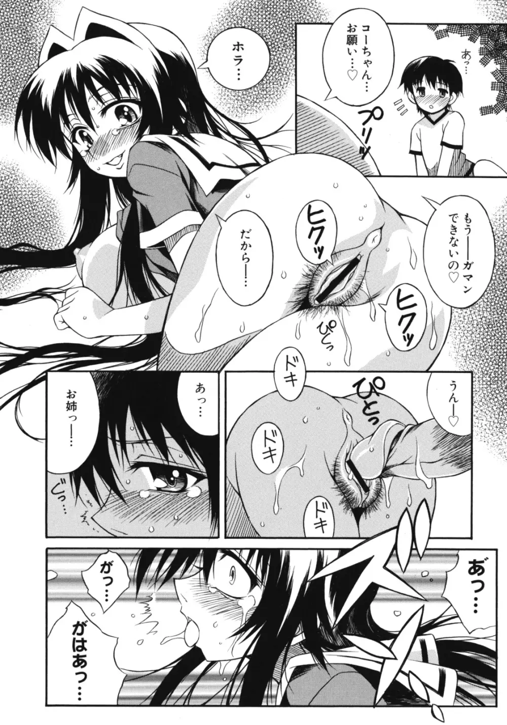 姉肉淫夢 Page.34