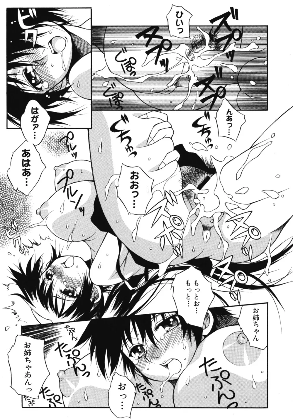 姉肉淫夢 Page.67