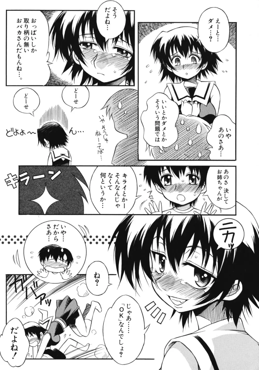 姉肉淫夢 Page.9