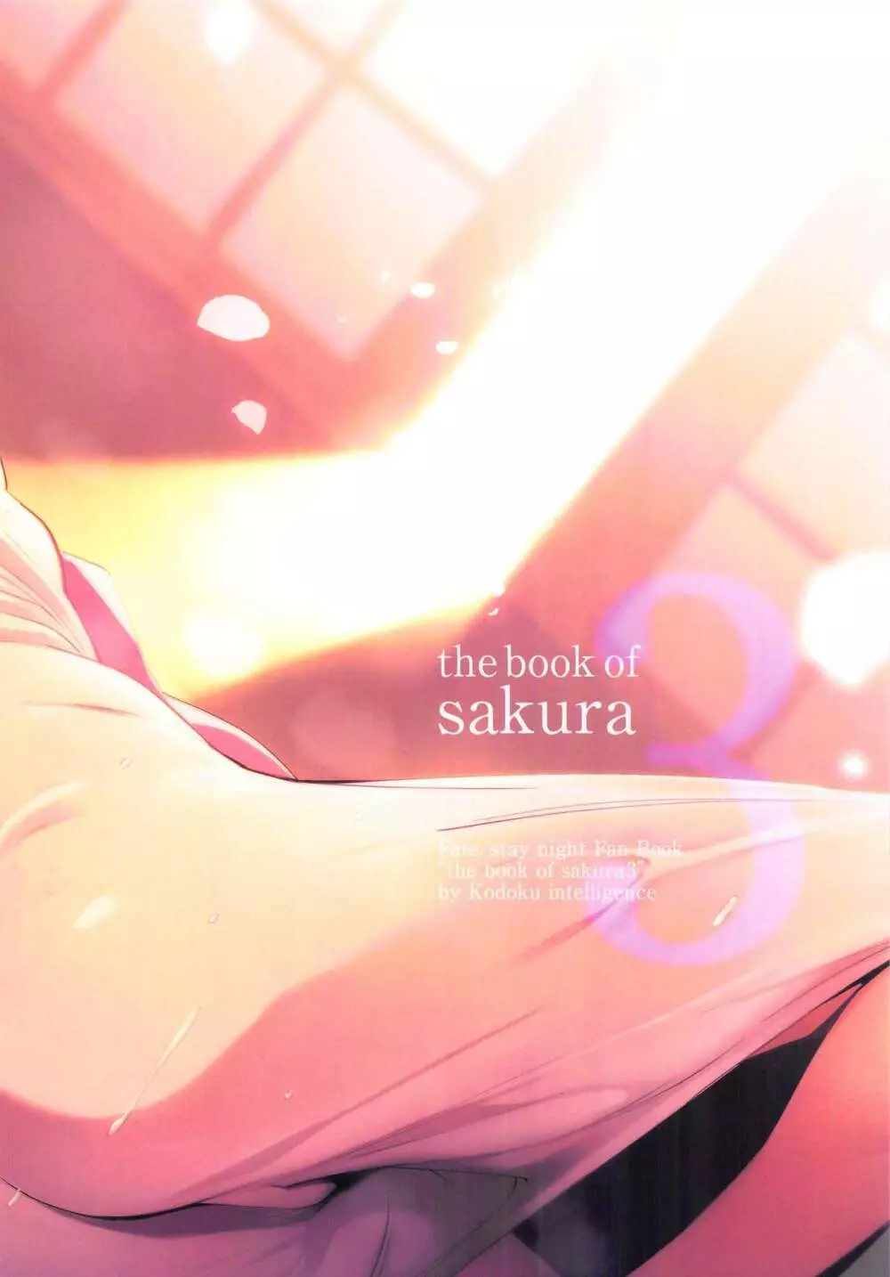 THE BOOK OF SAKURA 3 Page.17