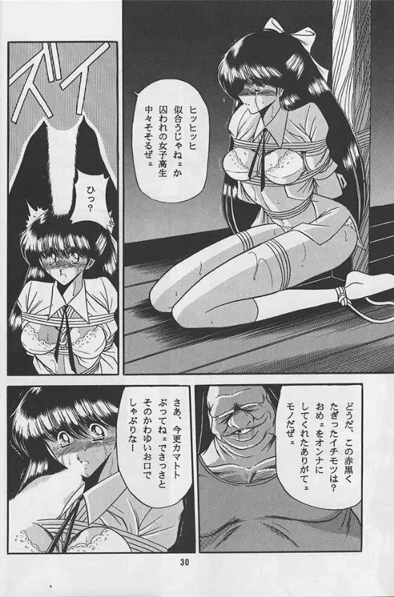 隷嬢日記 Page.28