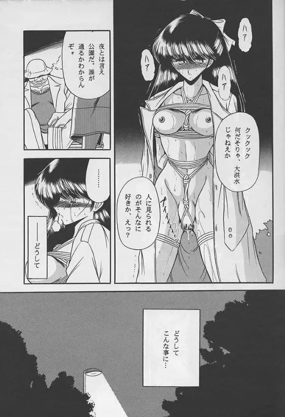 隷嬢日記 Page.7