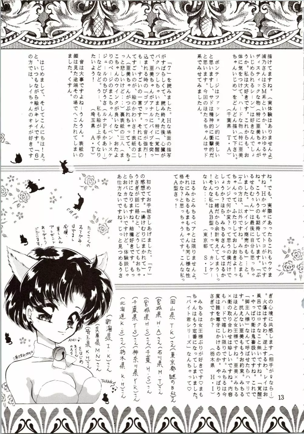 月夜のたわむれ 8 Page.13
