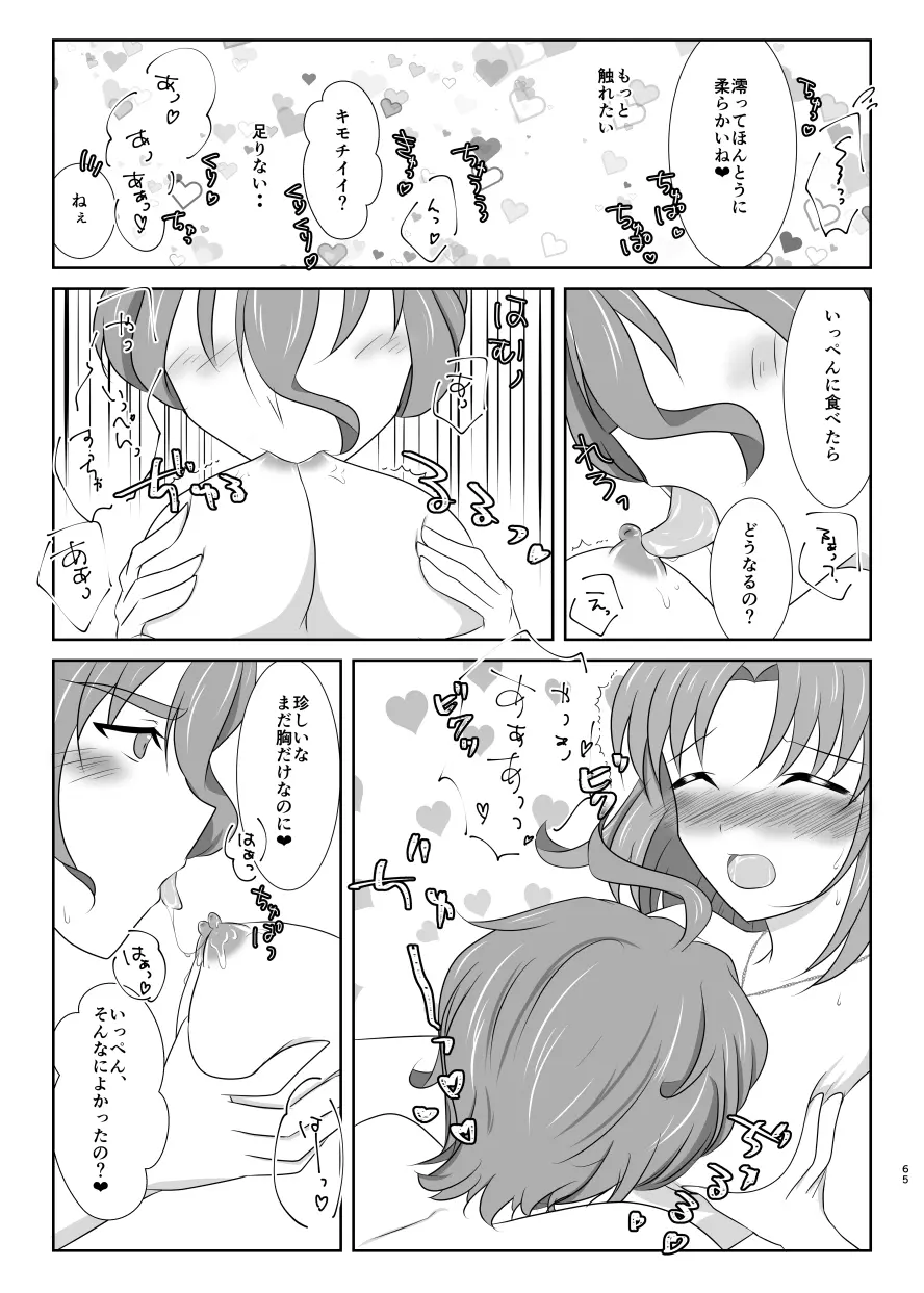 躊躇いとウソの花びら Page.64