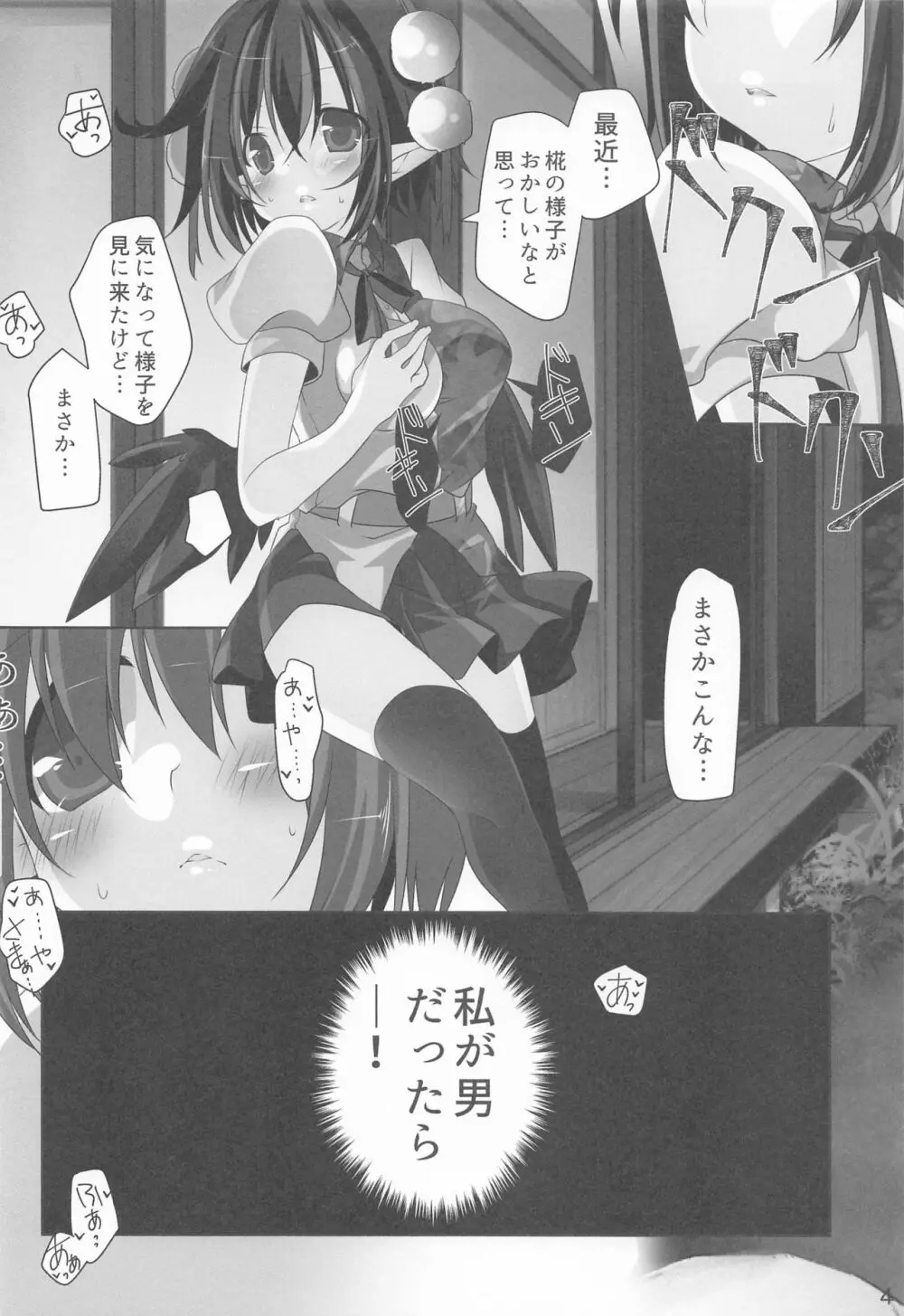 文君と椛お姉ちゃんの内緒の時間 Page.3