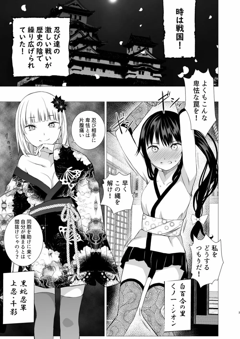 お忍び少女の遊び方 Page.2