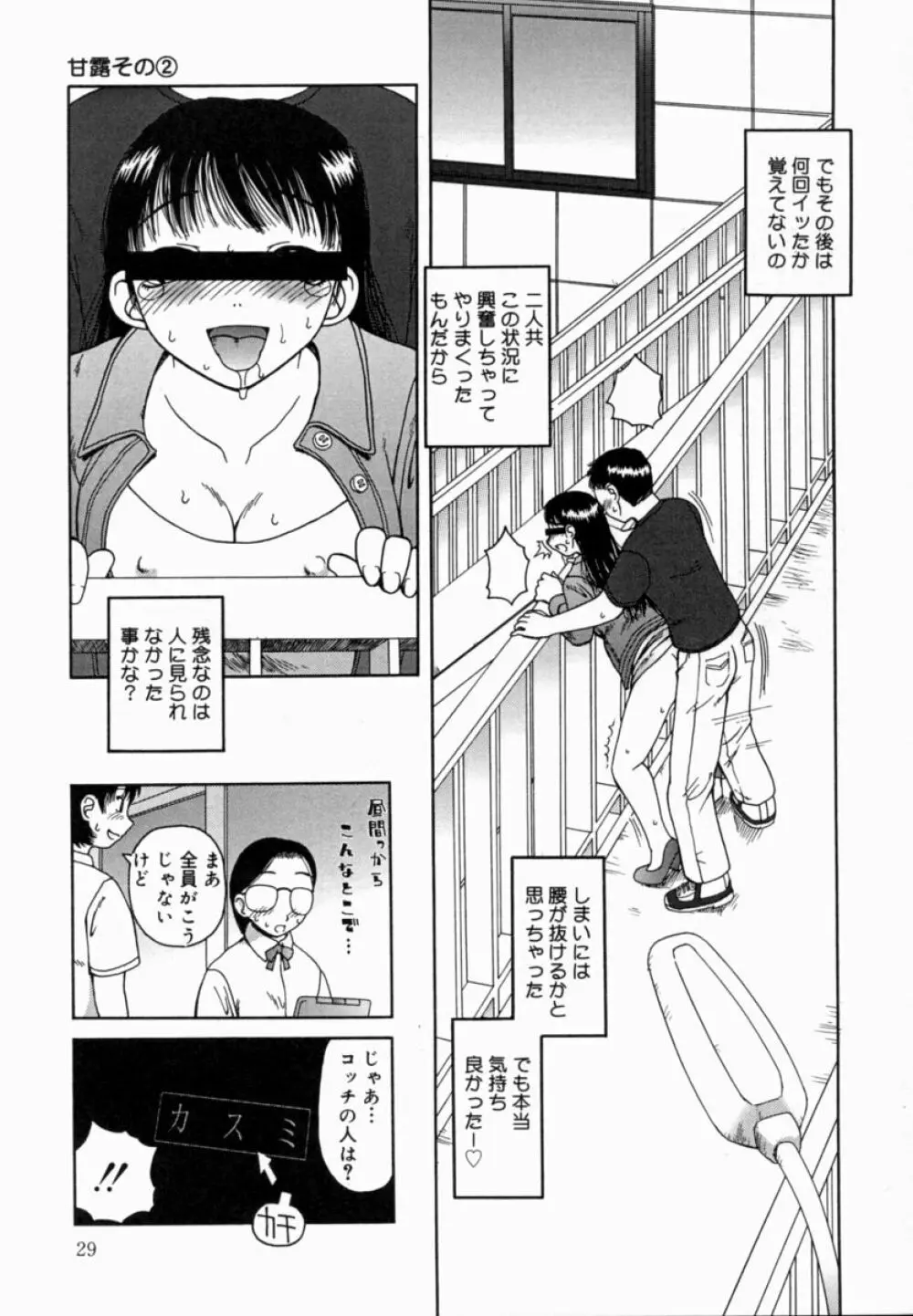 甘露 Page.30